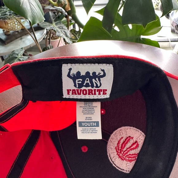 🧢NBA Toronto Raptors Red and Black Cap - Picture 7 of 8